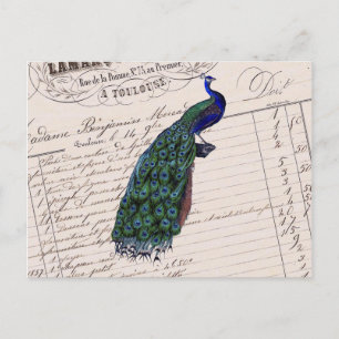 Carte Postale Peacock bleu vintage français chic