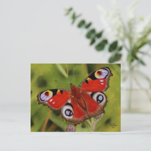 CARTE POSTALE PEACOCK BUTTERFLY (Debout devant)