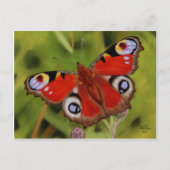 CARTE POSTALE PEACOCK BUTTERFLY (Devant)