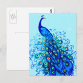 Carte Postale Peacock en Turquoise, Bleu de Cobalt et Aqua (Devant / Derrière)