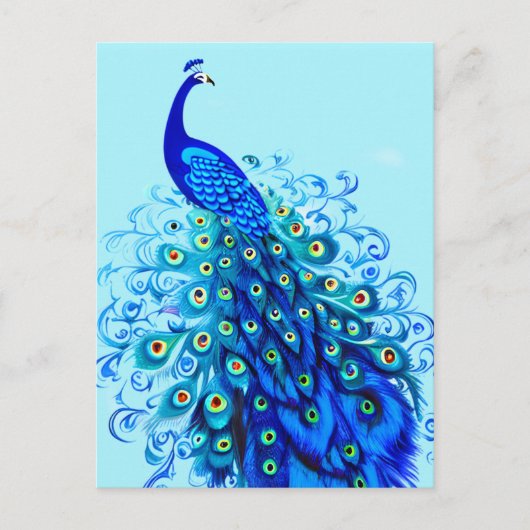 Carte Postale Peacock en Turquoise, Bleu de Cobalt et Aqua (Devant)
