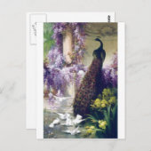 Carte Postale Peacock et colombes blanches peint des oiseaux (Devant / Derrière)