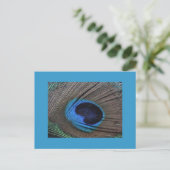 Carte postale Peacock Feather (Debout devant)
