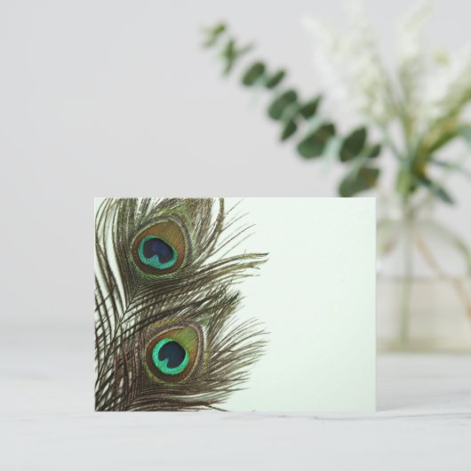 Carte postale Peacock Feather (Debout devant)
