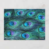 Carte Postale Peacock Feather Drama - Numéro de siège de table (Dos)