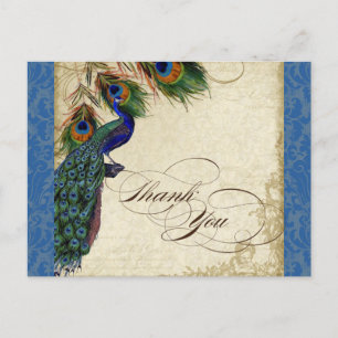 Carte Postale Peacock & Feather Formal Thank You Note Royal Blue
