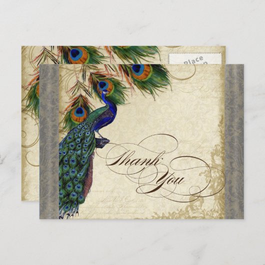 Carte Postale Peacock & Feather Forme Merci Note Argent (Devant / Derrière)