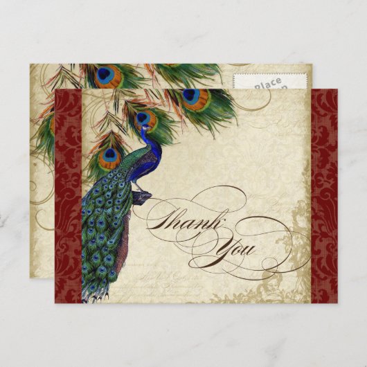 Carte Postale Peacock & Feather Formel Merci Note Bourgogne (Devant / Derrière)