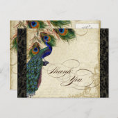 Carte Postale Peacock & Feather Formel Merci Note Tan Noir (Devant / Derrière)