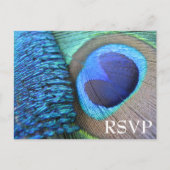 Carte postale Peacock Feather RSVP (Devant)