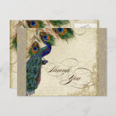 Carte Postale Peacock & Feathers Formal Merci Note Aqua Blue (Devant / Derrière)