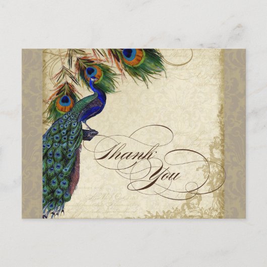 Carte Postale Peacock & Feathers Formal Merci Note Aqua Blue (Devant)