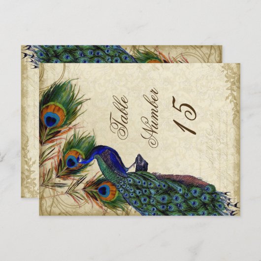 Carte Postale Peacock & Feathers Numéros de tableau des Mariages (Devant / Derrière)