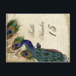 Carte Postale Peacock & Feathers Numéros de tableau des Mariages<br><div class="desc">COMMANDE : Vous devrez modifier les numéros de table et commander une carte à la fois. Aucune numérotation séquentielle n'est disponible sur ces cartes postales. Cependant, il est très rapide et il s'agit d'une belle option peu coûteuse pour correspondre aux cartes de numéro de siège de table. SÉLECTION DE PAPIER...</div>