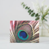 Carte Postale peacock.jpg (Debout devant)