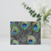Carte postale Peacock noir et blanc (Debout devant)