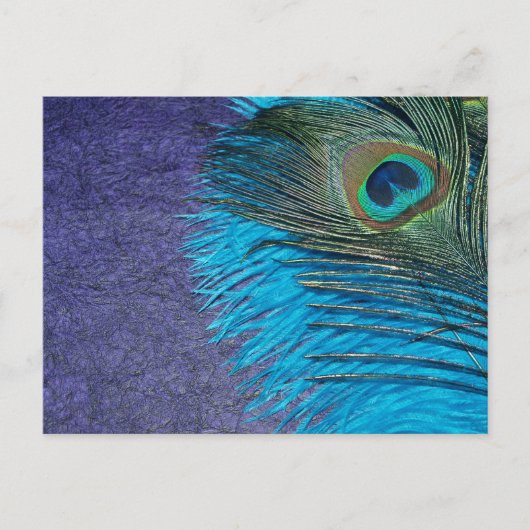 Carte Postale Peacock pourpre et Turquoise (Devant)