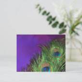 Carte Postale Peacock Purple Foil (Debout devant)