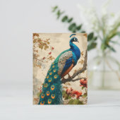 Carte postale Peacock Splendor vintage (Debout devant)
