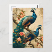 Carte postale Peacock Splendor vintage (Devant / Derrière)