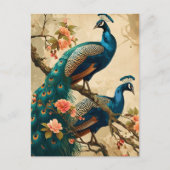 Carte postale Peacock Splendor vintage (Devant)