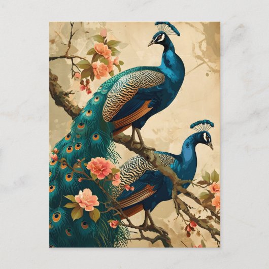 Carte postale Peacock Splendor vintage (Devant)