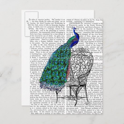 Carte Postale Peacock sur la chaise (Devant / Derrière)