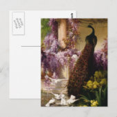 Carte Postale Peacock vintage (Devant / Derrière)