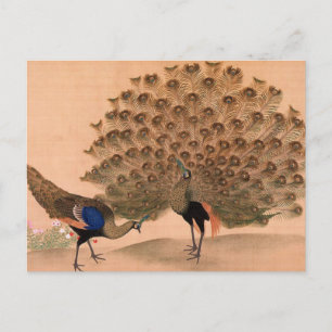 Carte Postale Peacock vintage