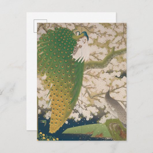 Carte Postale Peacocks and Cherry Tree (1925) (Devant / Derrière)