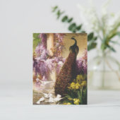 Carte Postale Peacocks et Doses (Debout devant)