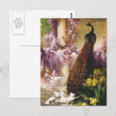 Carte Postale Peacocks et Doses (Devant / Derrière)