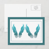 Carte postale Peacocks turquoise et Oracle Green A (Devant / Derrière)