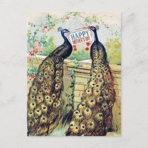 Carte Postale Peacocks vintages - Bonne fête des mères