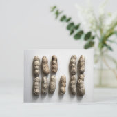 Carte Postale Peanuts Still Life Fine Art Photographie (Debout devant)