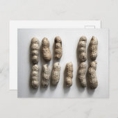 Carte Postale Peanuts Still Life Fine Art Photographie (Devant / Derrière)