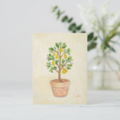 Carte postale Pear Tree (Debout devant)