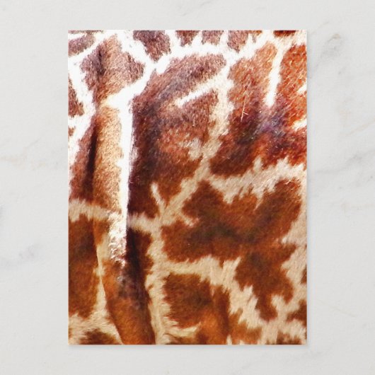 Carte Postale Peau de girafe_ (Devant)