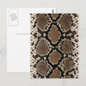 Carte Postale Peau de serpent à sonnette Diamond Back (Devant / Derrière)