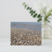 Carte postale Pebble Seashore (Debout devant)