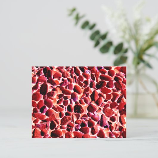 CARTE POSTALE PEBLES DE PLAGE (Debout devant)