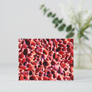 CARTE POSTALE PEBLES DE PLAGE