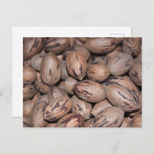 Carte postale Pecan (Devant / Derrière)