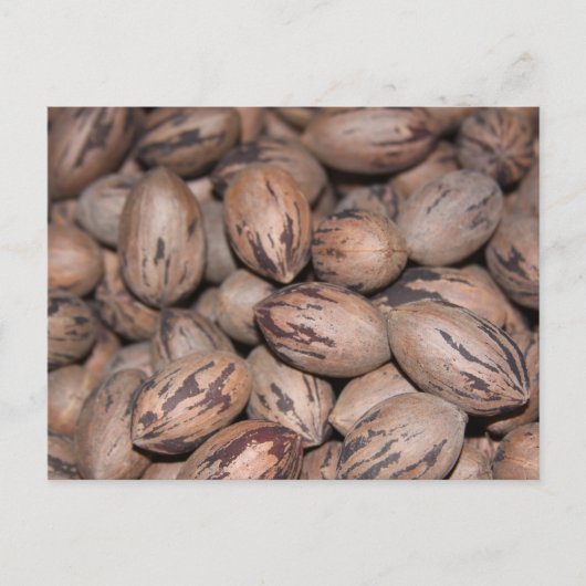 Carte postale Pecan (Devant)