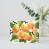 Carte Postale Pêche ! (Debout devant)