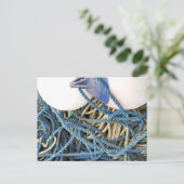 CARTE POSTALE PÊCHE (Debout devant)