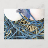 CARTE POSTALE PÊCHE (Devant)