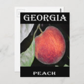 Carte Postale Pêche (Devant / Derrière)