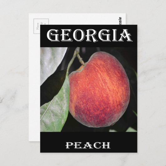 Carte Postale Pêche (Devant / Derrière)