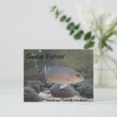 Carte Postale Pêche à Assateague Island, MD (Debout devant)